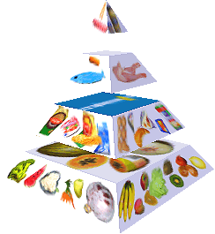 Potravinová pyramida