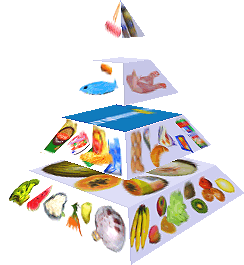 Potravinová pyramida