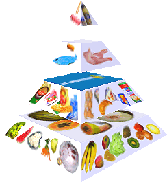 Potravinová pyramida