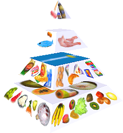 Potravinová pyramida