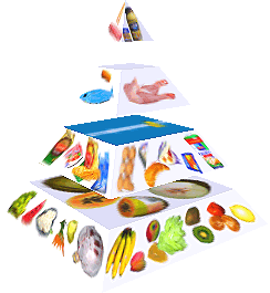 Potravinová pyramida