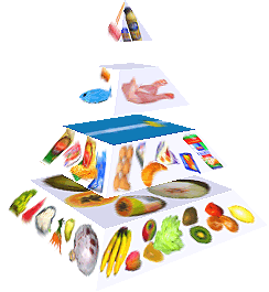 Potravinová pyramida