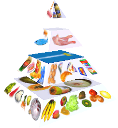 Potravinová pyramida