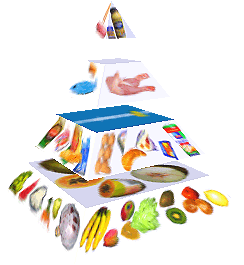 Potravinová pyramida
