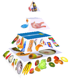 Potravinová pyramida