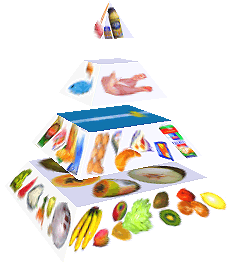 Potravinová pyramida