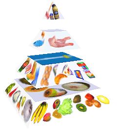 Potravinová pyramida