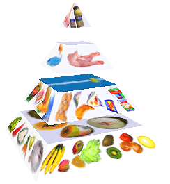 Potravinová pyramida