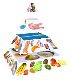 Potravinová pyramida