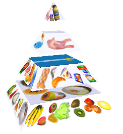 Potravinová pyramida