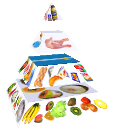 Potravinová pyramida
