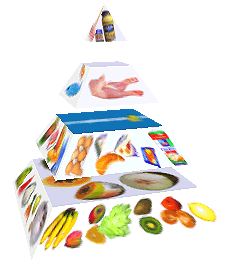 Potravinová pyramida