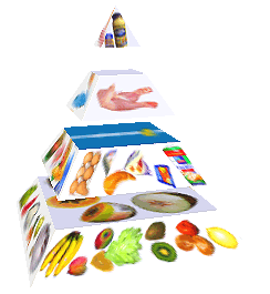 Potravinová pyramida