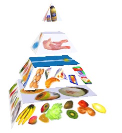 Potravinová pyramida