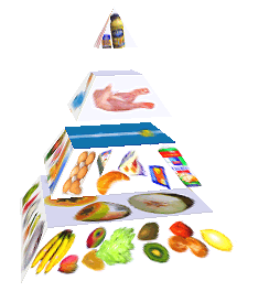 Potravinová pyramida