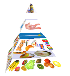 Potravinová pyramida