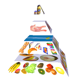 Potravinová pyramida