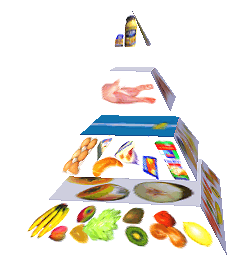 Potravinová pyramida