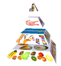 Potravinová pyramida