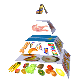 Potravinová pyramida
