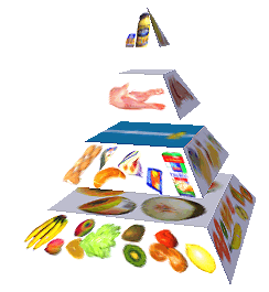 Potravinová pyramida